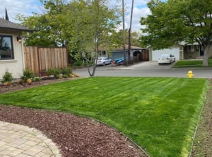 1 San Jose Ca Lawn Care Service Lawn Mowing From 19 Best 2020