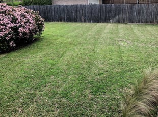 San Tan Valley Az Lawn Care Service Lawn Mowing From 19 Rated Best 2020