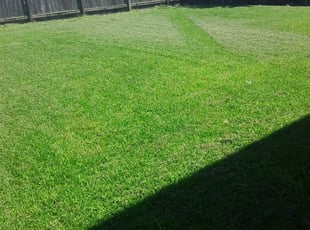 Sanford Fl Lawn Care Service Lawn Mowing From 19 Lawnstarter