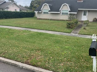 Palm Tree Care Venice Fl Gardenmasters