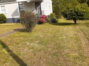1 Sarasota Fl Lawn Care Service Lawn Mowing From 19 Best 2020