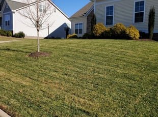 Satellite Beach Fl Lawn Care Service Lawn Mowing From 19 Rated Best 2020