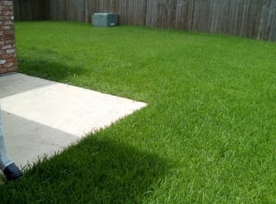 Scranton Pa Lawn Care Service Lawn Mowing From 19 Lawnstarter