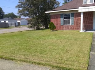 Scranton Pa Lawn Care Service Lawn Mowing From 19 Lawnstarter
