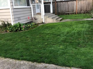 1 Seattle Wa Lawn Care Service Lawn Mowing From 19 Best 2020