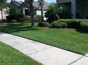 1 Seattle Wa Lawn Care Service Lawn Mowing From 19 Best 2020