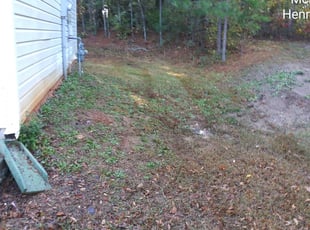 1 Seffner Fl Lawn Care Service Lawn Mowing From 19 Best 2020