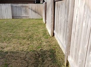 Seffner, FL Lawn Care Service | Lawn Mowing from $19 ...