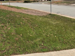 1 Selma Nc Lawn Care Service Lawn Mowing From 19 Best 2020
