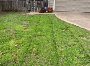 Seminole Fl Lawn Care Service Lawn Mowing From 19 Rated Best 2020