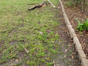 Seminole, FL Lawn Care Service | Lawn Mowing from $19 ...