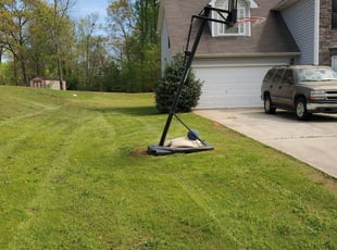 Seminole Fl Lawn Care Service Lawn Mowing From 19 Rated Best 2020
