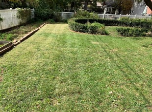 1 Shawnee Ks Lawn Care Service Lawn Mowing From 19 Best 2020