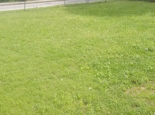 Sherwood Ar Lawn Care Service Lawn Mowing From 19 Rated Best 2020