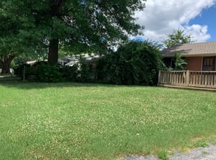 Lawn Service from Hub Business and Advertising