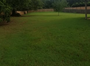 Simpsonville Sc Lawn Care Service Lawn Mowing From 19 Rated Best 2020