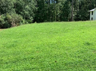 Slidell La Lawn Care Service Lawn Mowing From 19 Rated Best 2020