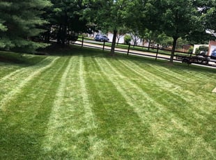 1 Smyrna Ga Lawn Care Service Lawn Mowing From 19 Best 2020