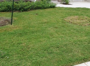 Snellville Ga Landscaping From 29 1 Landscapers Best Of 2020