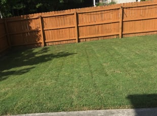 Snellville Ga Lawn Care Service Lawn Mowing From 19 Rated Best 2020