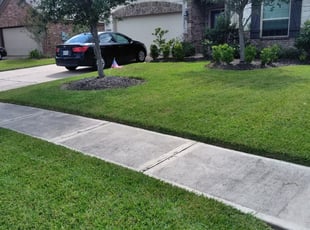 1 Somerville Tn Lawn Care Service Lawn Mowing From 19 Best 2020