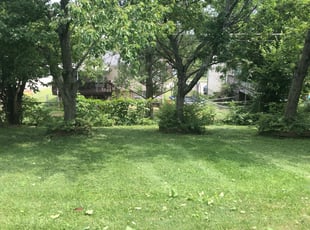 1 South Lyon Mi Lawn Care Service Lawn Mowing From 19 Best 2020