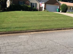 1 Southaven Ms Lawn Care Service Lawn Mowing From 19 Best 2020