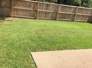 1 Southaven Ms Lawn Care Service Lawn Mowing From 19 Best 2020