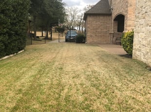 Local Lawn Care Yard Maintenance Services Burleson Tx