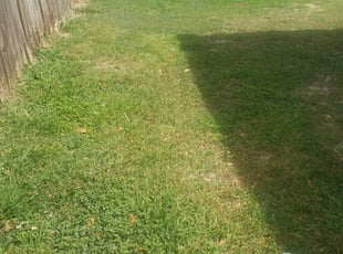 Southlake, TX Lawn Care Service | Lawn Mowing from $19 ...