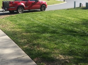 1 Spokane Wa Lawn Care Service Lawn Mowing From 19 Best 2020