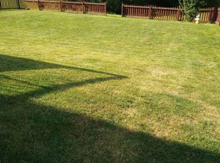 1 Spokane Wa Lawn Care Service Lawn Mowing From 19 Best 2020