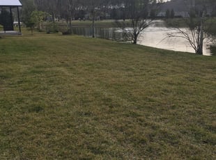 1 Spotsylvania Va Lawn Care Service Lawn Mowing From 19 Best 2020