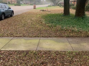 1 Spotsylvania Va Lawn Care Service Lawn Mowing From 19 Best 2020