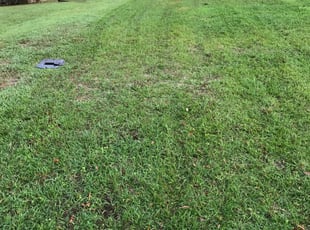 1 Spring Hill Fl Lawn Care Service Lawn Mowing From 19 Best 2020