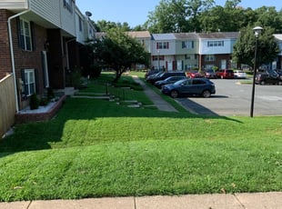 #1 Spring Hill, FL Lawn Care Service | Lawn Mowing from $19 | Best 2020
