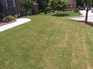 Spring Hill Tn Lawn Care Lawn Mowing From 19 Lawnstarter