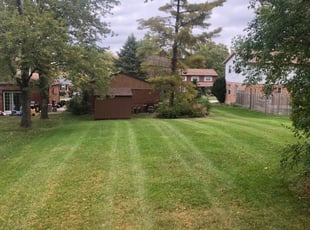 Spring Tx Lawn Care Service Lawn Mowing From 19 Lawnstarter