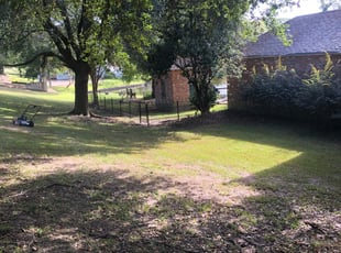 Springboro, OH Lawn Care Service | Lawn Mowing from $19 | LawnStarter