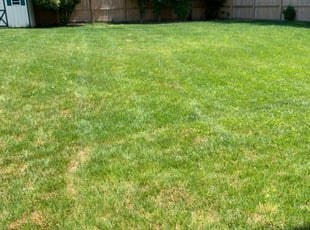 Springboro Oh Lawn Care Service Lawn Mowing From 19 Lawnstarter