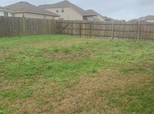 Lawn Care Business For Sale Springfield Mo : Carpenter's Saw Shop in Springfield, MO - Service Noodle : We are springfields newest destination for outdoor equipment.