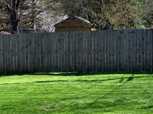 Springfield Mo Lawn Care Service Lawn Mowing From 19 Lawnstarter