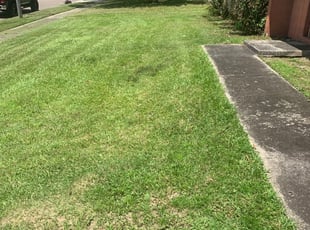 Springfield Mo Lawn Care Service Lawn Mowing From 19 Lawnstarter