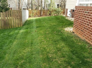 Springfield Tn Lawn Care Service Lawn Mowing From 19 Lawnstarter