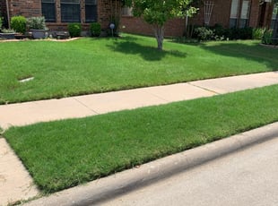 Springfield Va Lawn Care Lawn Mowing From 19 Lawnstarter