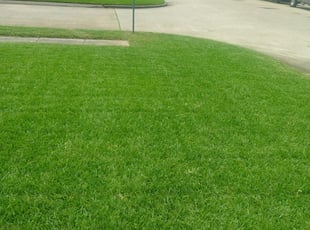 Springfield Va Lawn Care Lawn Mowing From 19 Lawnstarter