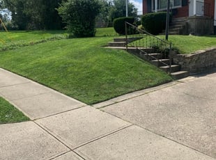1 St Johns Fl Lawn Care Service Lawn Mowing From 19 Best 2020