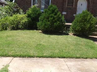 How Many Times Do You Need To Fertilize A Year Our Latest Blog Has The Answer For You Check It Out Lawn Care Companies Lawn Service Lawn Care Tips