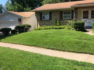 1 St Louis Mo Lawn Care Service Lawn Mowing From 19 Best 2020