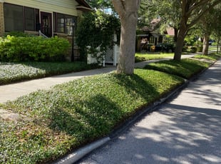 1 St Petersburg Fl Lawn Care Service Lawn Mowing From 19 Best 2020